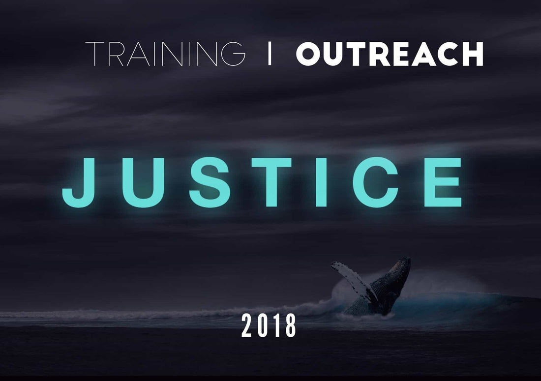 How you can help Hayley pursue justice